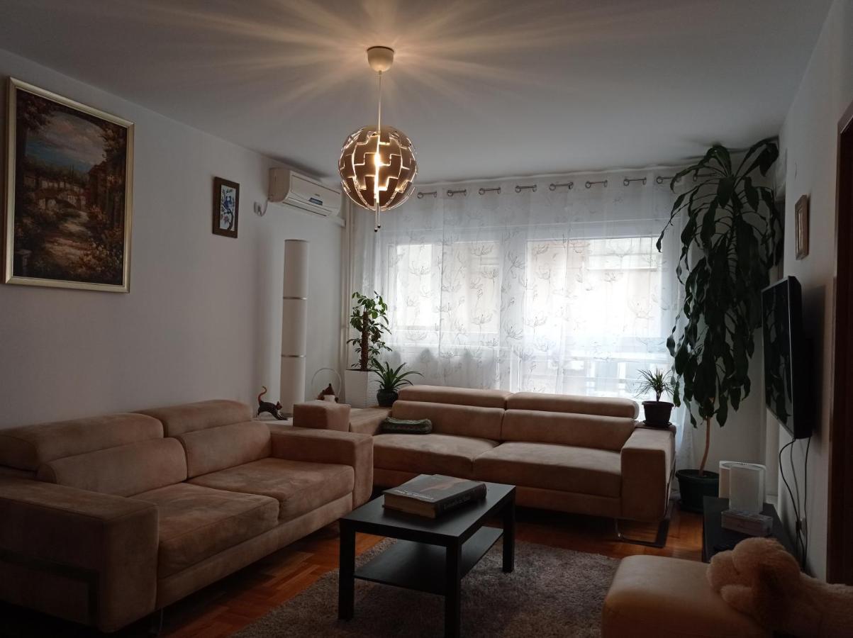 Go 2 Apartment بلغراد المظهر الخارجي الصورة
